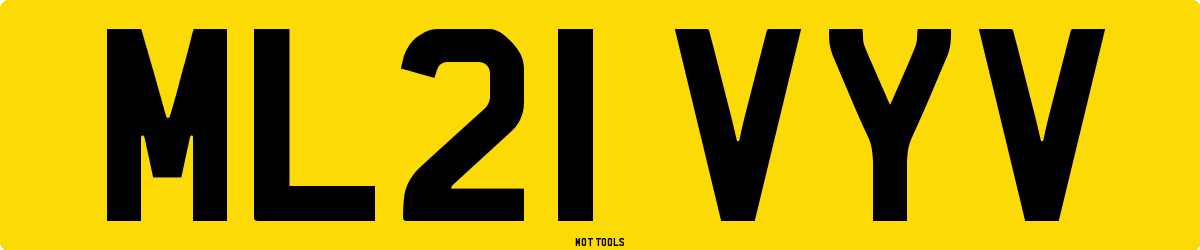 ML21VYV MOT Check