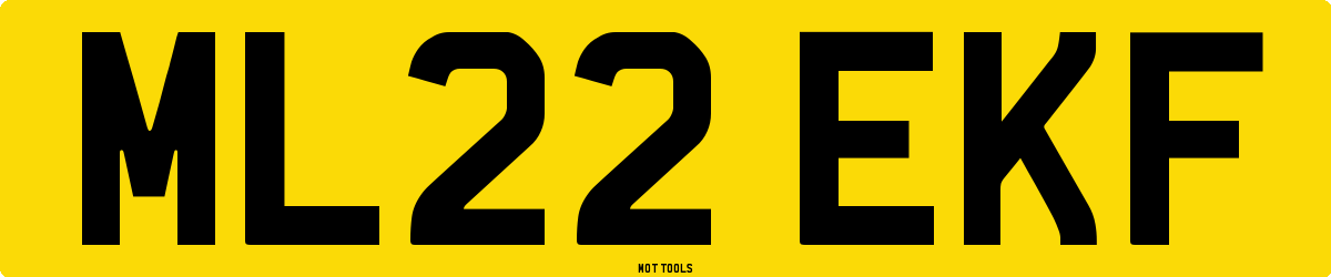 ML22EKF MOT Check