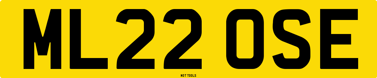 ML22OSE MOT Check