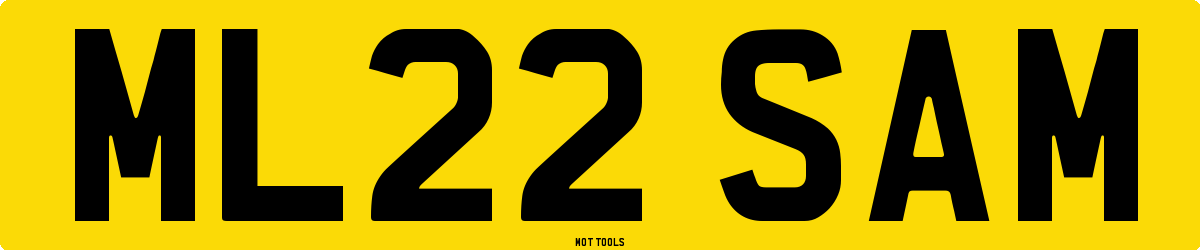 ML22SAM MOT Check