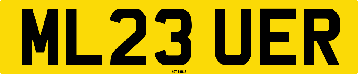 ML23UER MOT Check