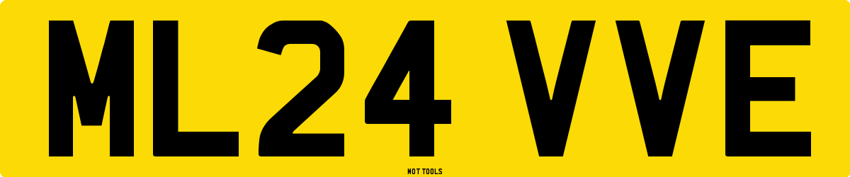 ML24VVE MOT Check
