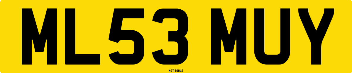 ML53MUY MOT Check