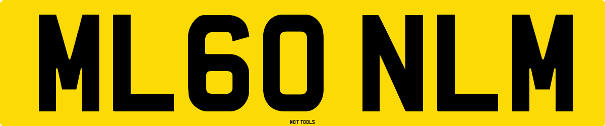 ML60NLM MOT Check