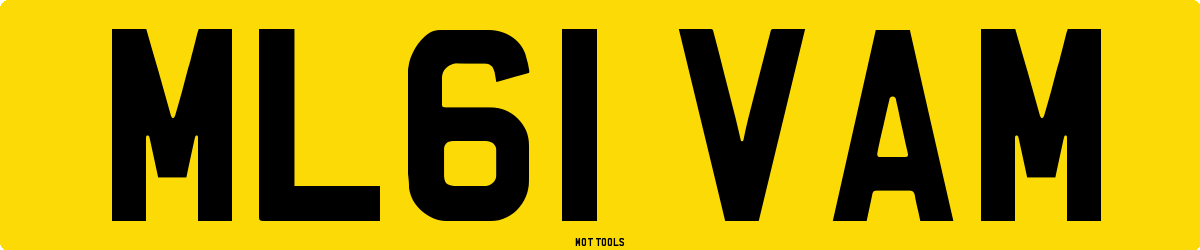 ML61VAM MOT Check