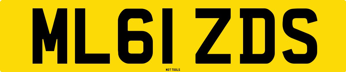 ML61ZDS MOT Check