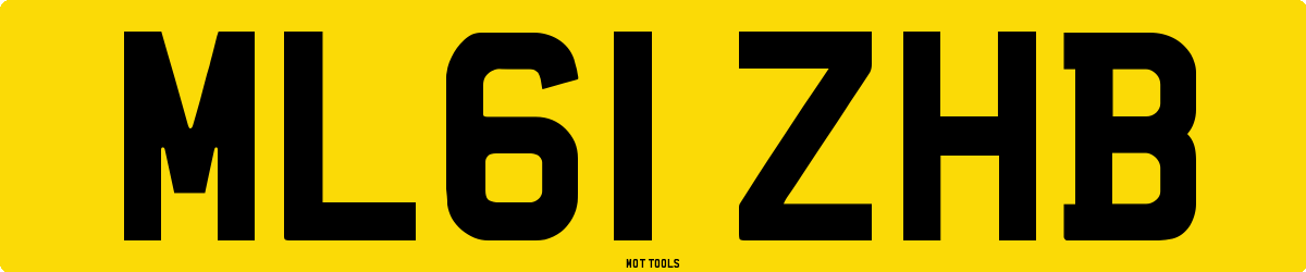 ML61ZHB MOT Check