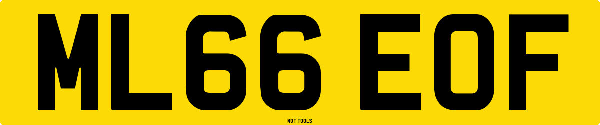 ML66EOF MOT Check