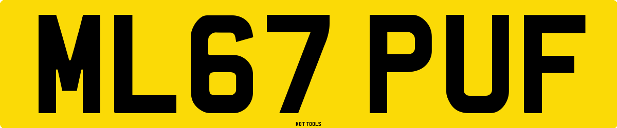 ML67PUF MOT Check