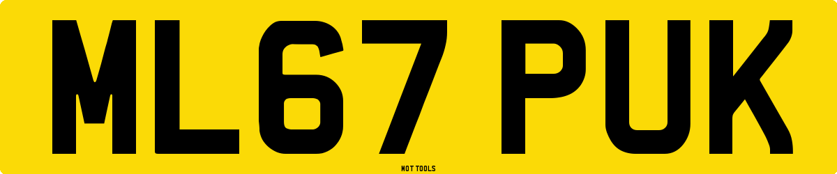 ML67PUK MOT Check