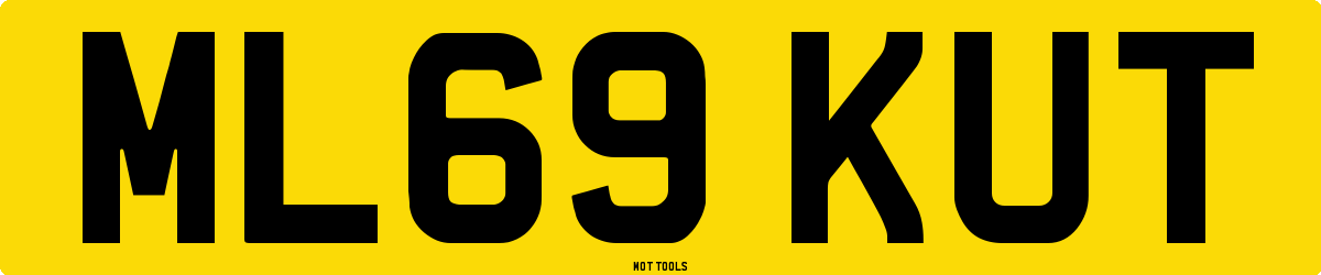 ML69KUT MOT Check