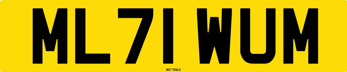 ML71WUM MOT Check