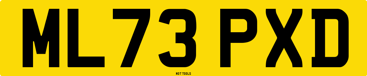 ML73PXD MOT Check