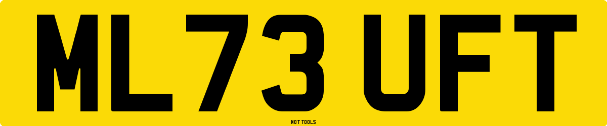 ML73UFT MOT Check