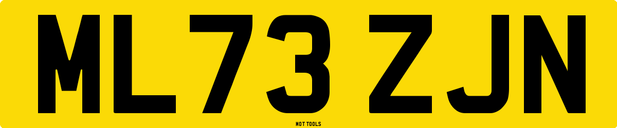 ML73ZJN MOT Check