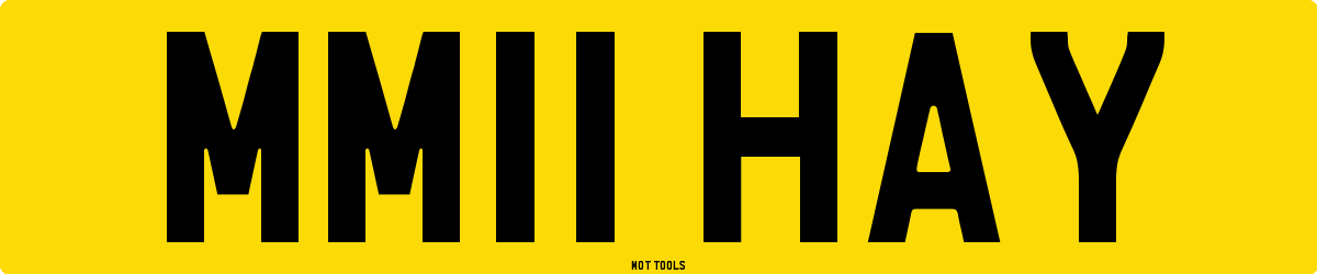 MM11HAY MOT Check
