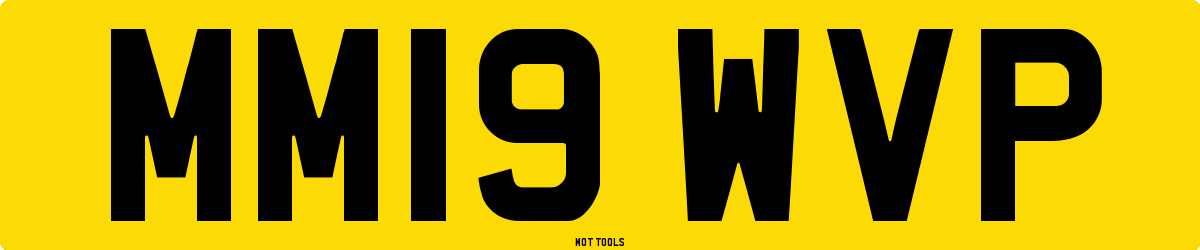 MM19WVP MOT Check