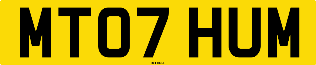 MT07HUM MOT Check