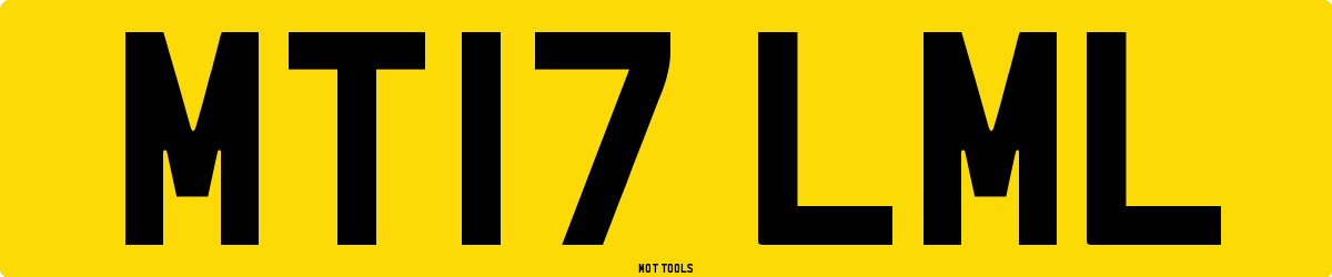 MT17LML MOT Check