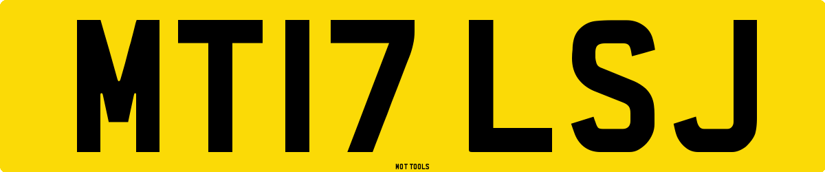 MT17LSJ MOT Check