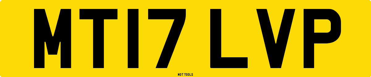MT17LVP MOT Check