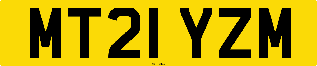 MT21YZM MOT Check