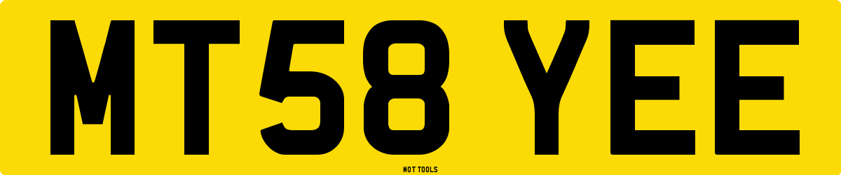 MT58YEE MOT Check
