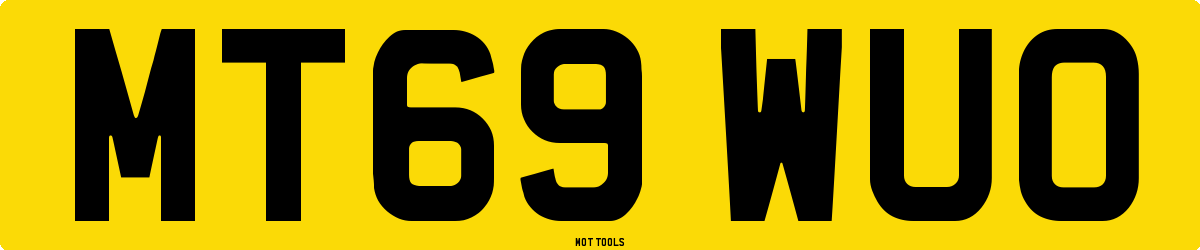 MT69WUO MOT Check