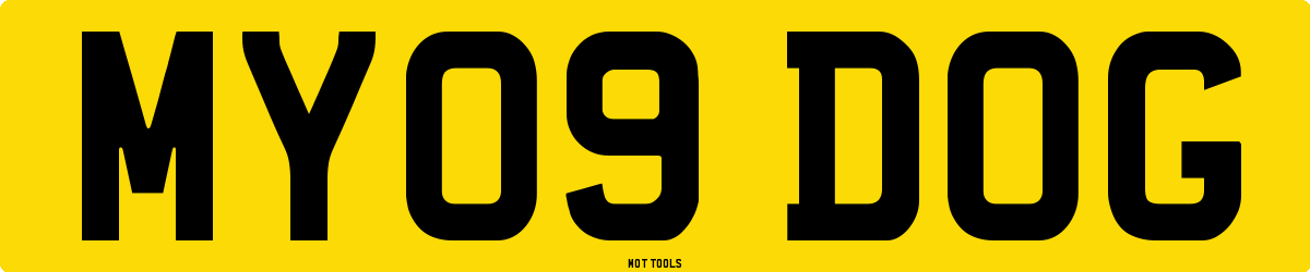 MY09DOG MOT Check