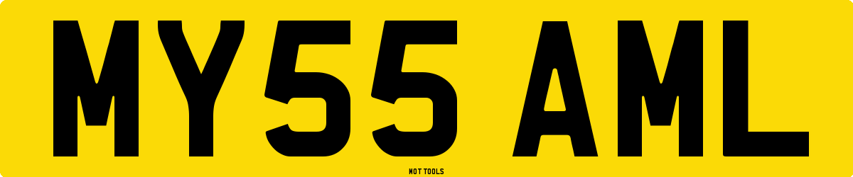 MY55AML MOT Check