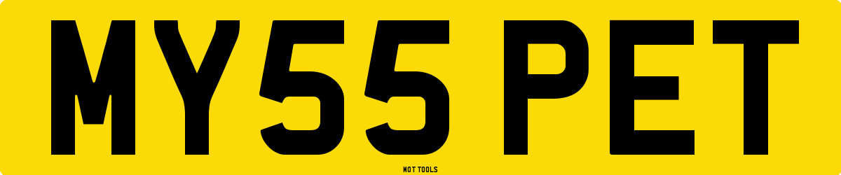 MY55PET MOT Check