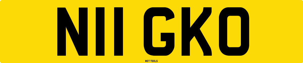 N11GKO MOT Check