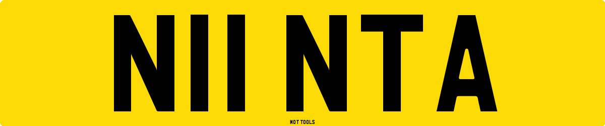 N11NTA MOT Check