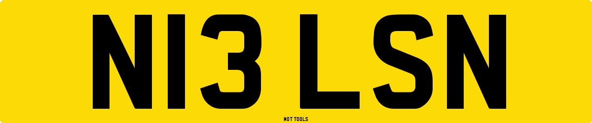 N13LSN MOT Check