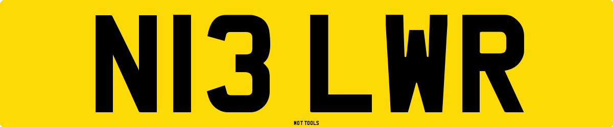 N13LWR MOT Check