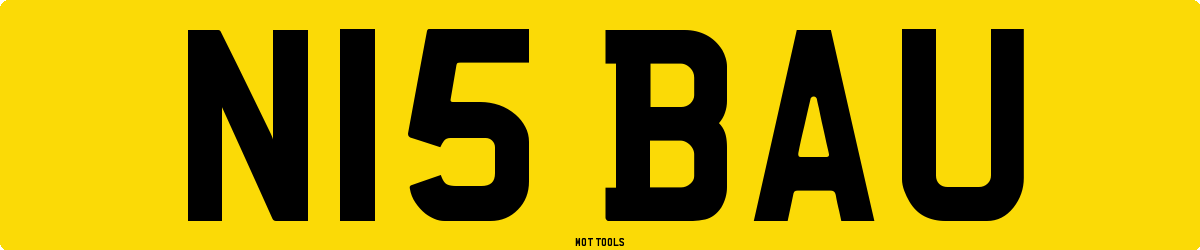 N15BAU MOT Check