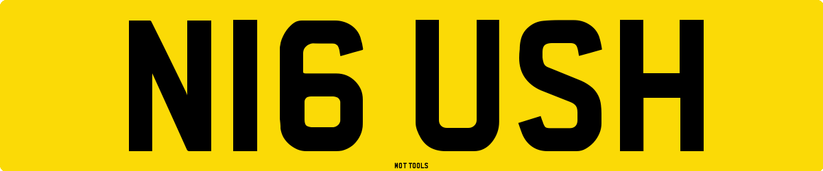 N16USH MOT Check