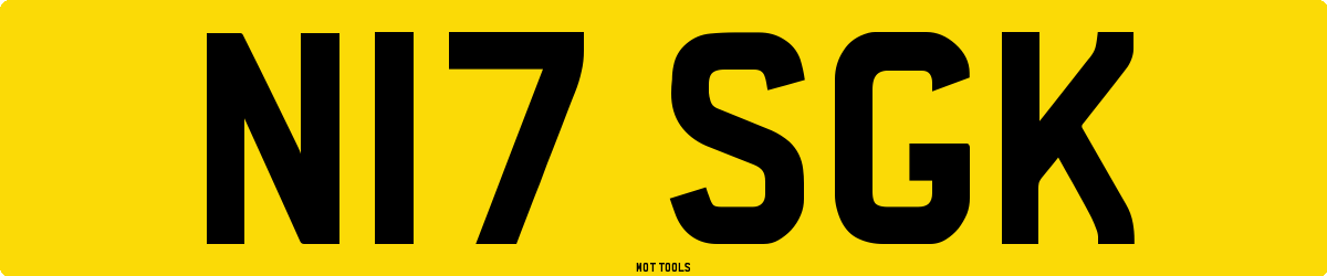 N17SGK MOT Check