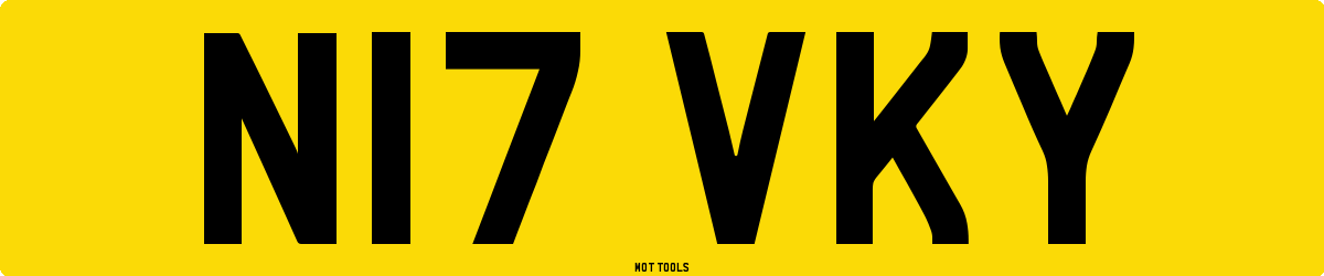 N17VKY MOT Check