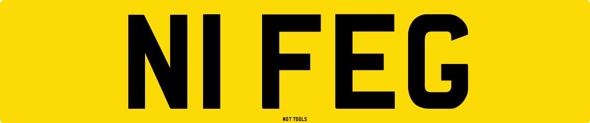 N1FEG MOT Check
