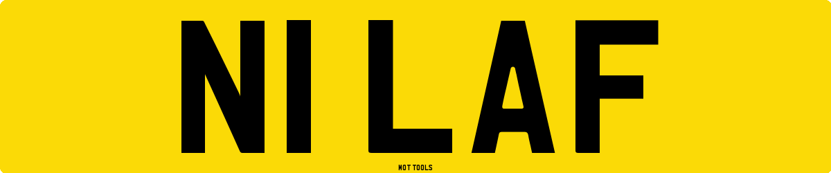 N1LAF MOT Check