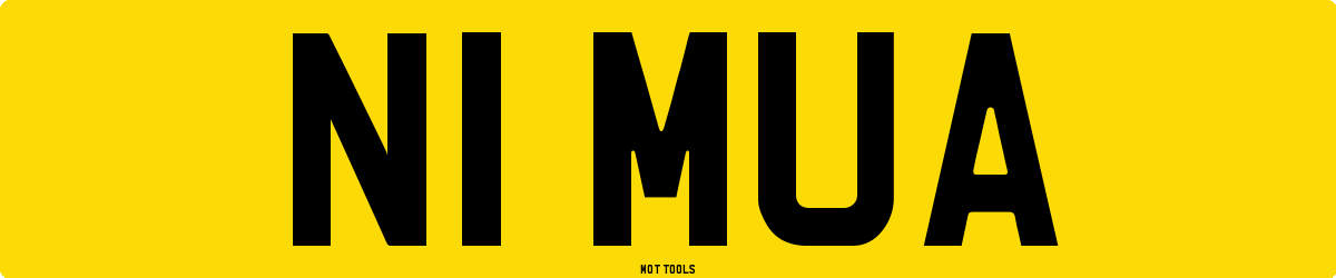 N1MUA MOT Check