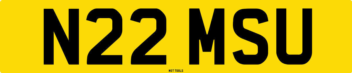 N22MSU MOT Check