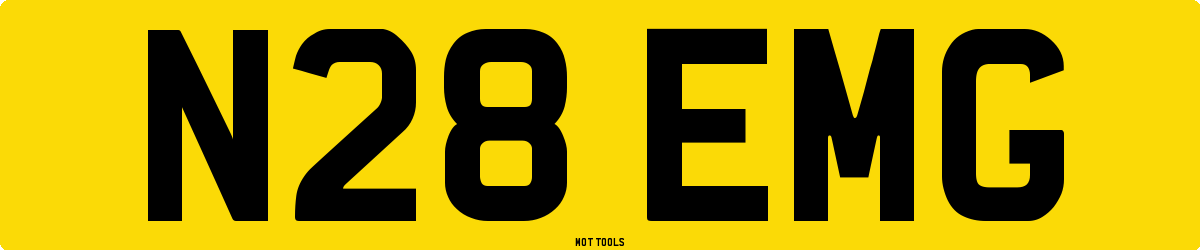 N28EMG MOT Check