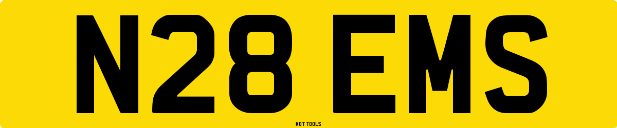 N28EMS MOT Check