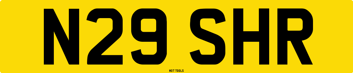 N29SHR MOT Check