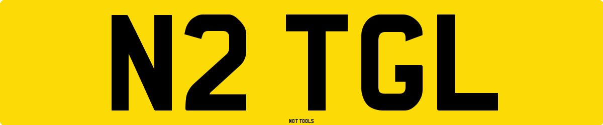 N2TGL MOT Check
