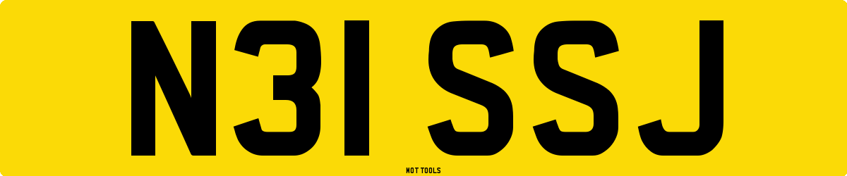 N31SSJ MOT Check