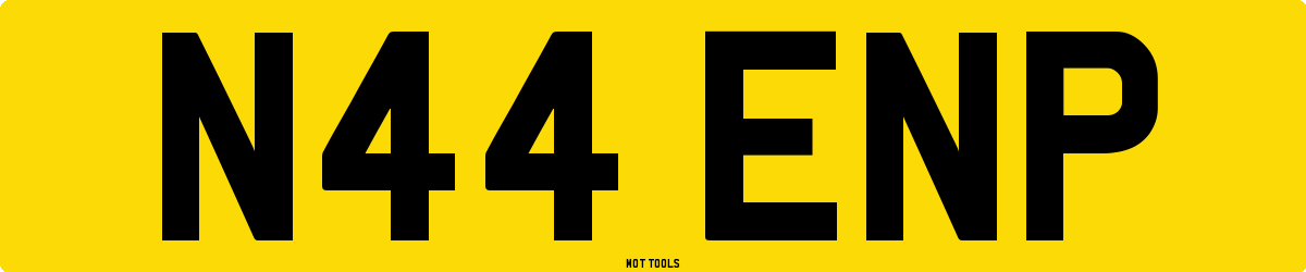 N44ENP MOT Check