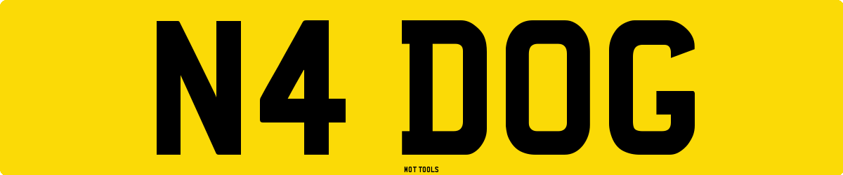 N4DOG MOT Check